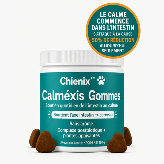 CHIENIX ™