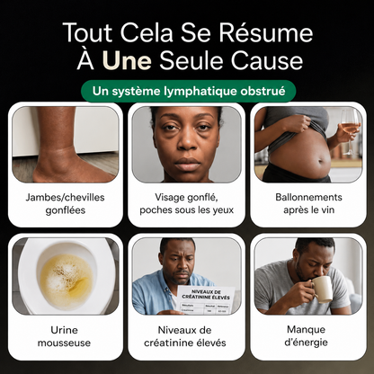 Rénalys ™