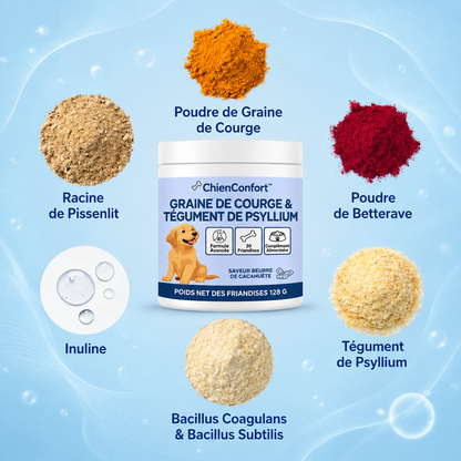 ChienConfort ™
