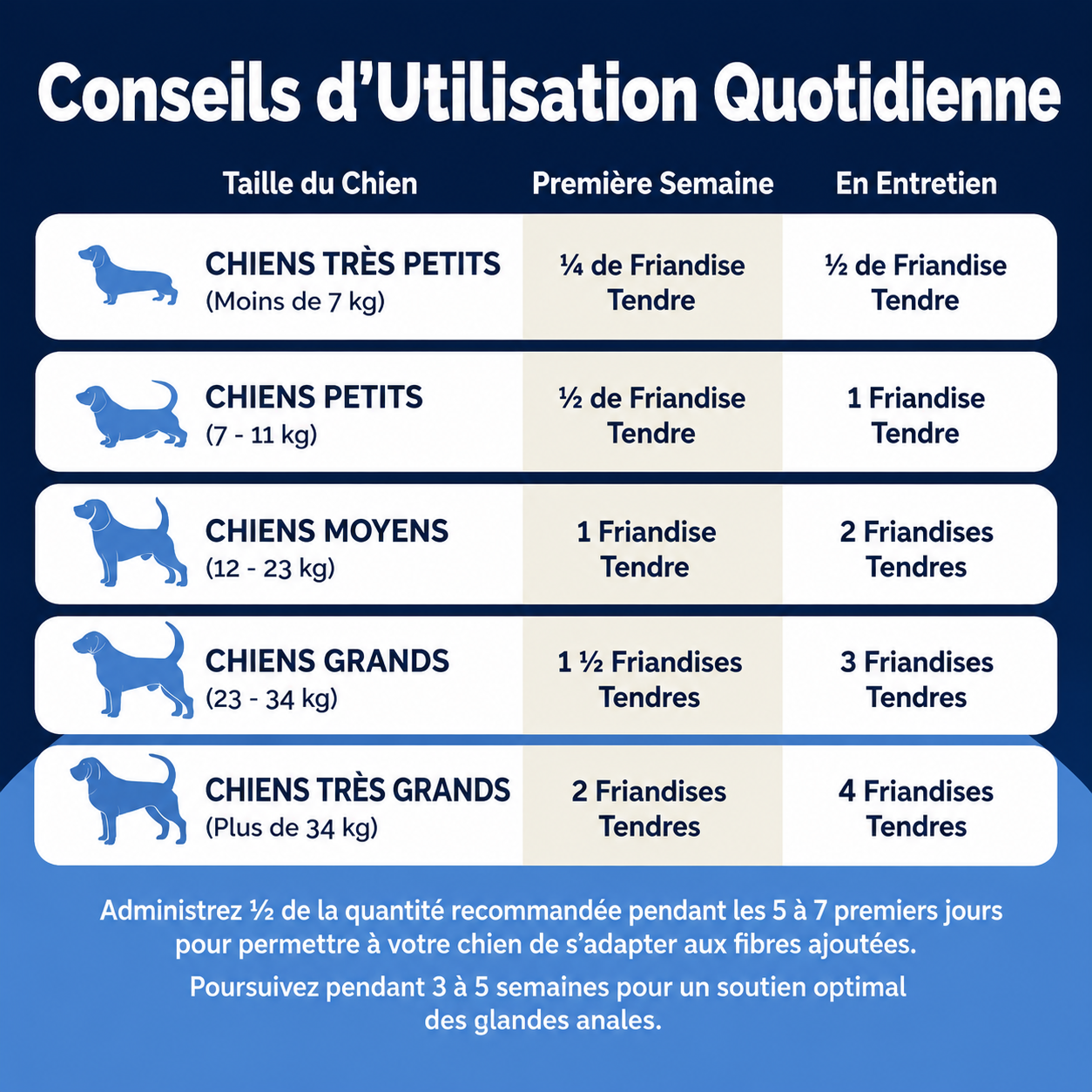 ChienConfort ™