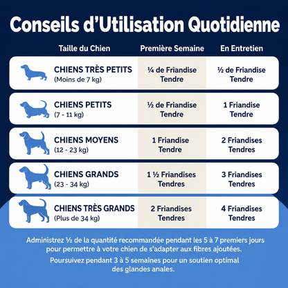 ChienConfort ™