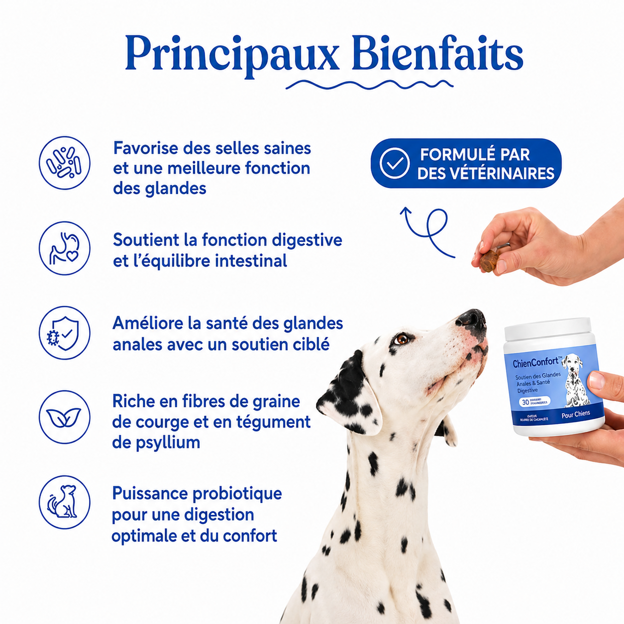 ChienConfort ™