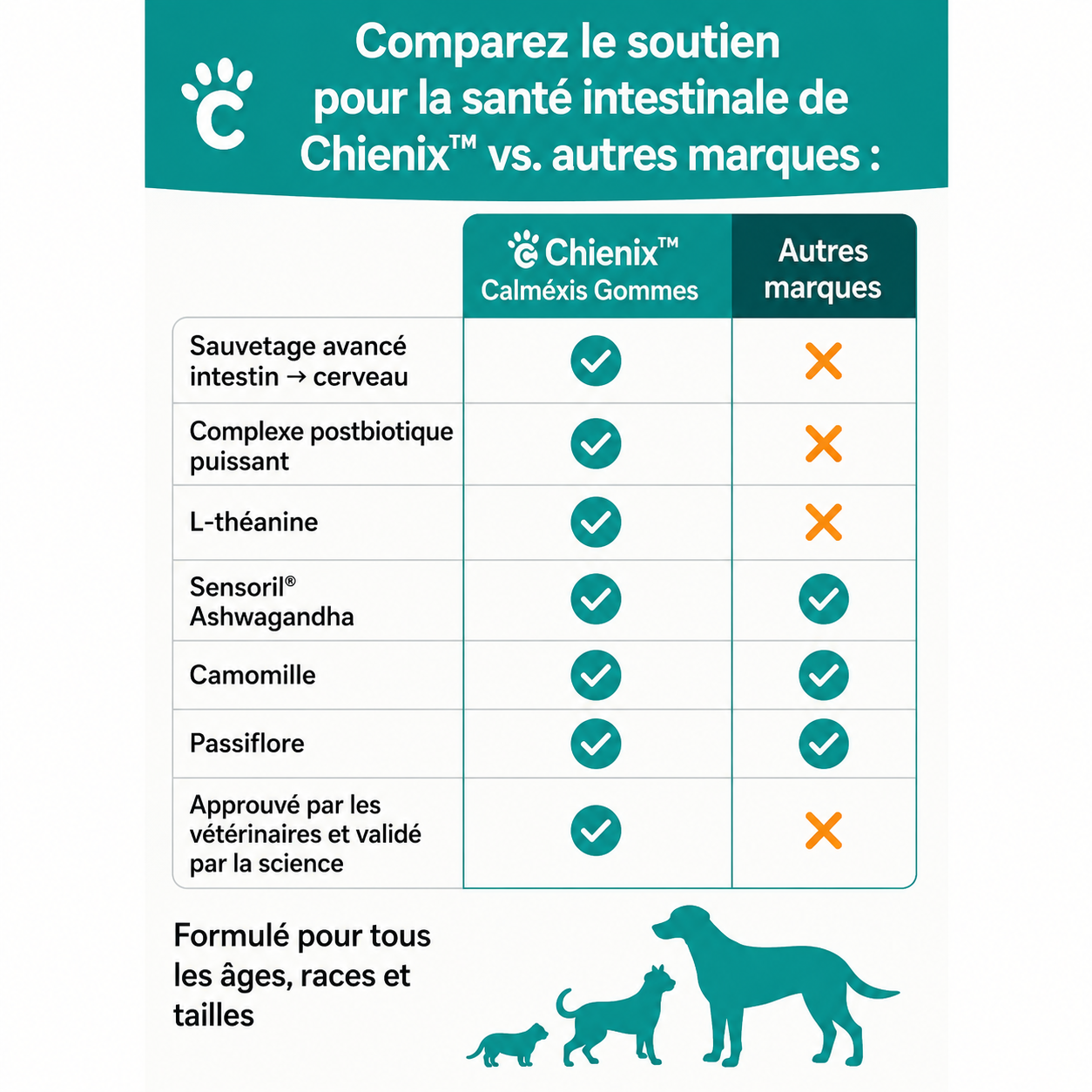 CHIENIX ™