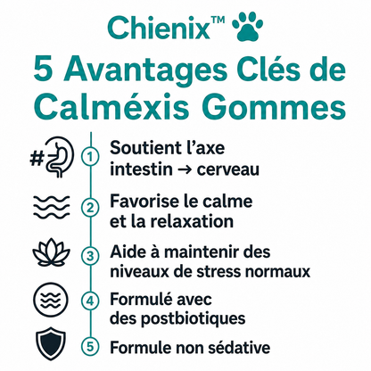 CHIENIX ™
