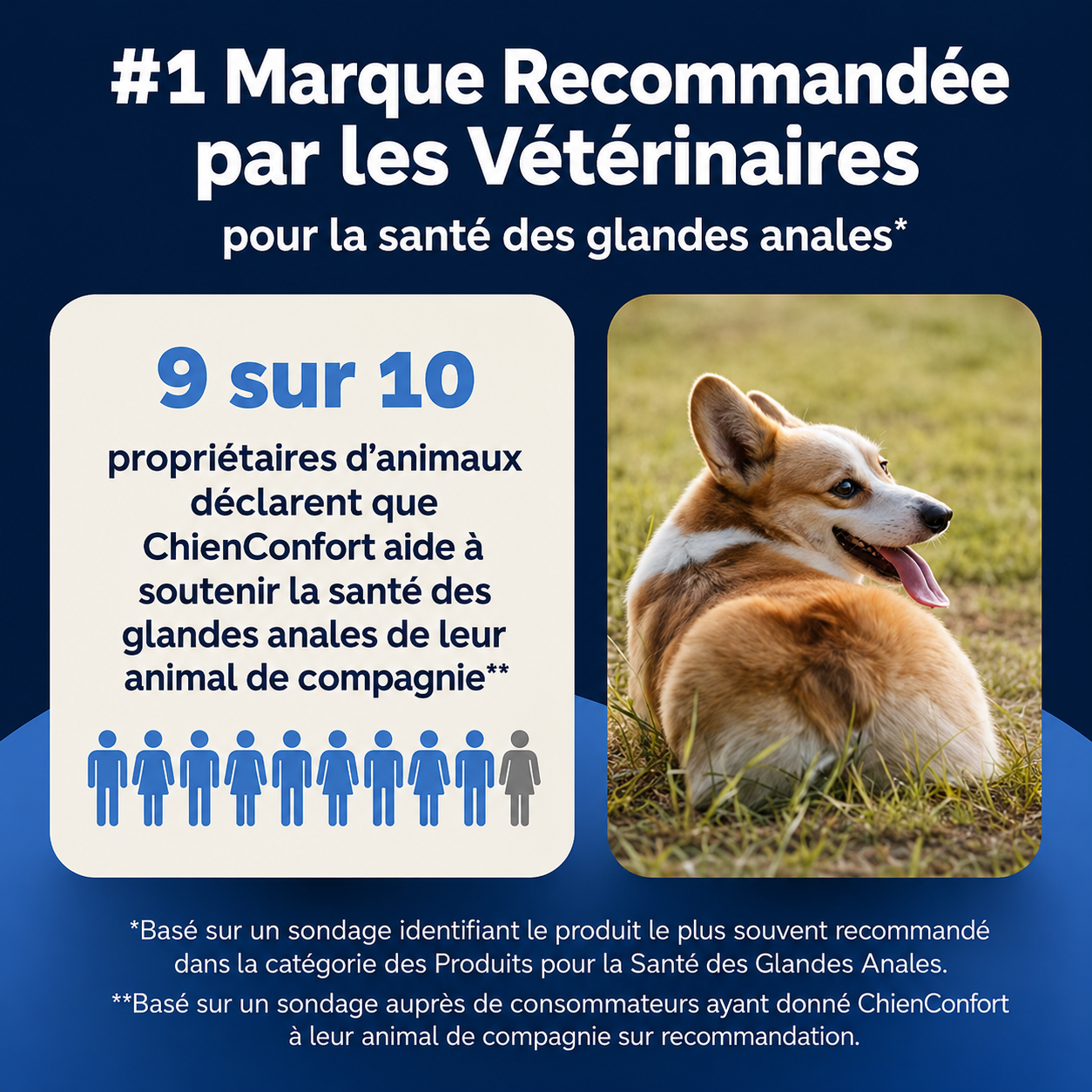 ChienConfort ™