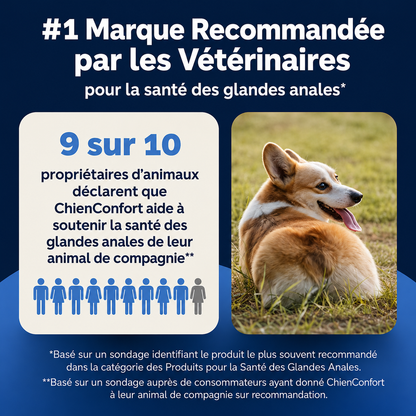 ChienConfort ™