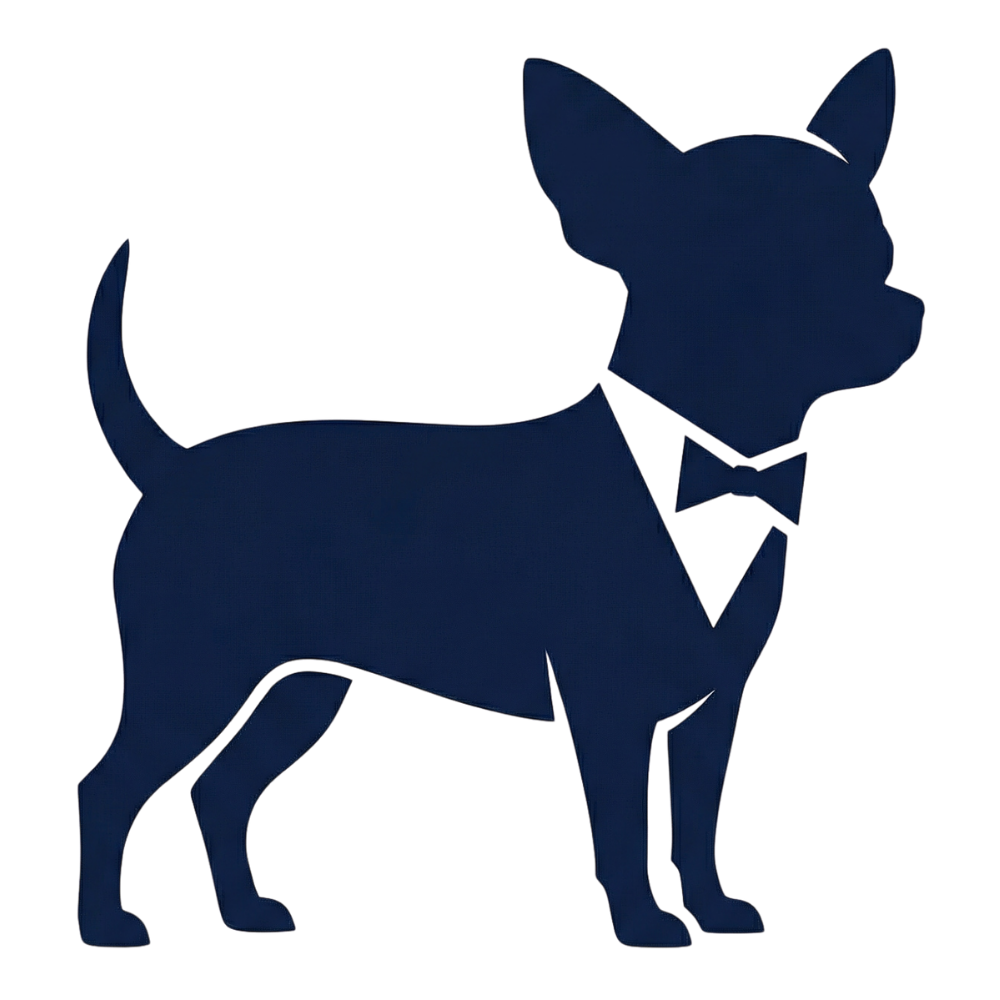 Petit chien