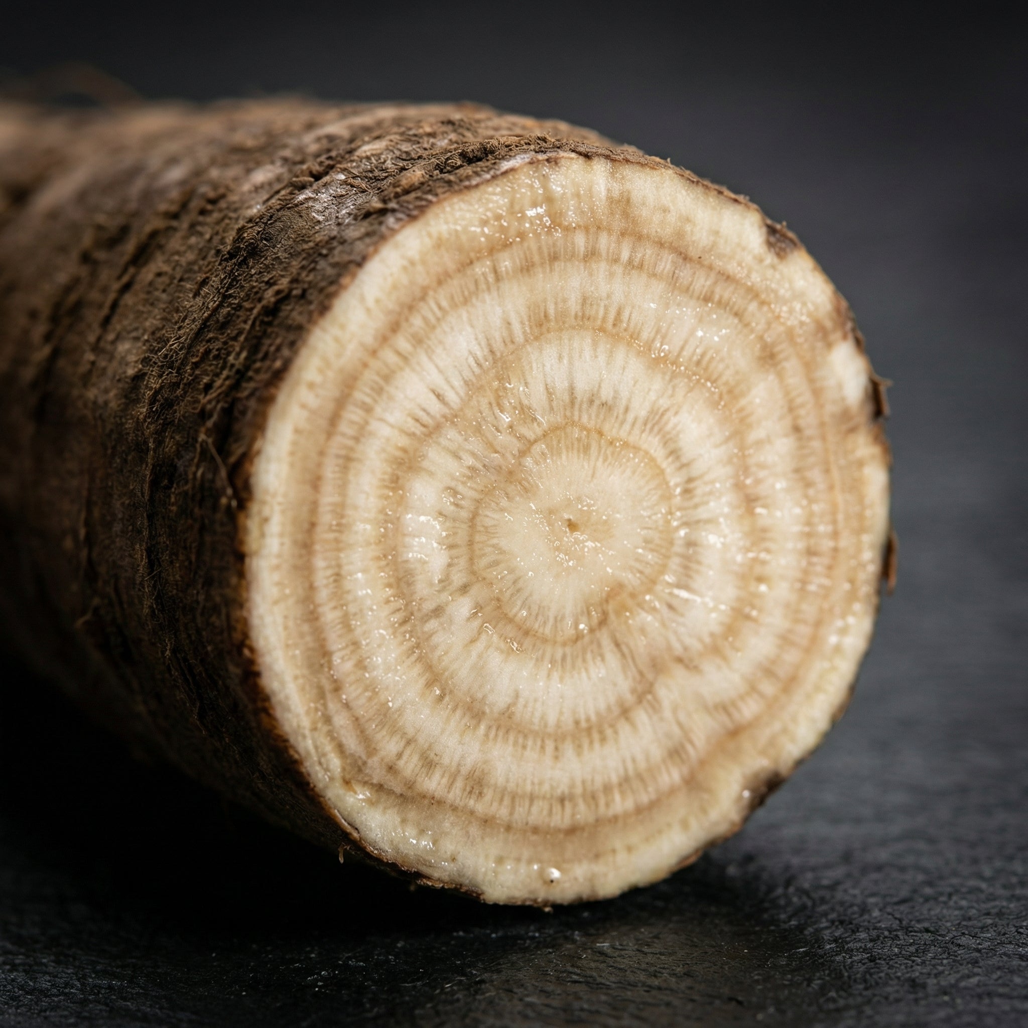Inuline (prébiotique)