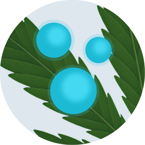 CBN Isolat