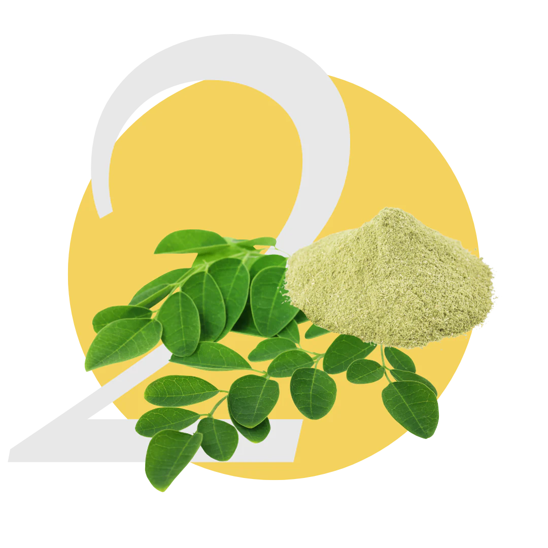 Étape 2 : le moringa protège les tendons des substances chimiques nocives