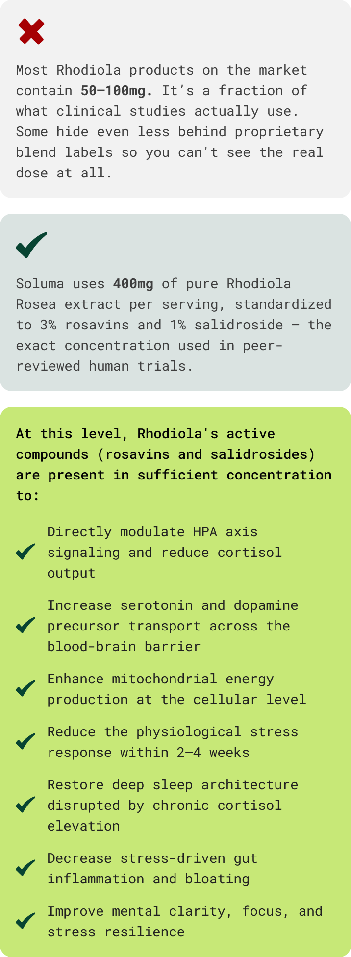 Bei dieser Dosierung sind die aktiven Verbindungen von Rhodiola Rosea in ausreichender Konzentration vorhanden
